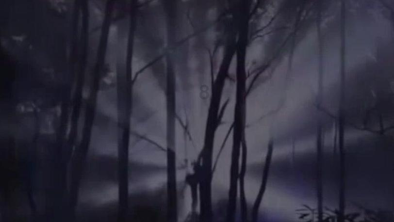 求正宗酸辣汤的做法游戏画面