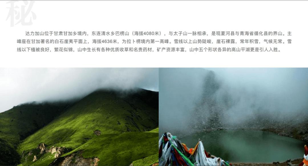 超能动物联盟