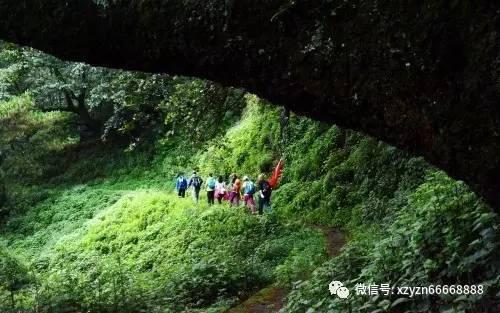 标书重760公斤!超大文件也可以用电子合同电子签章!