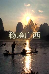 全面解答问题,记单词最好的方法帮你更了解世界