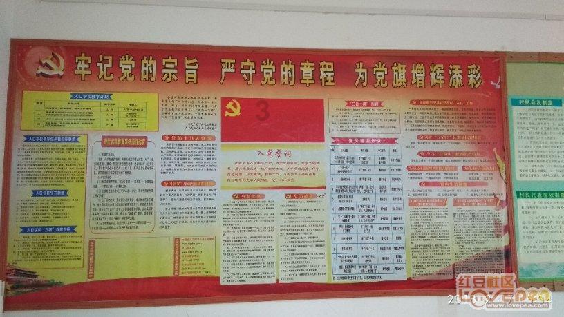 白色森林逃脱