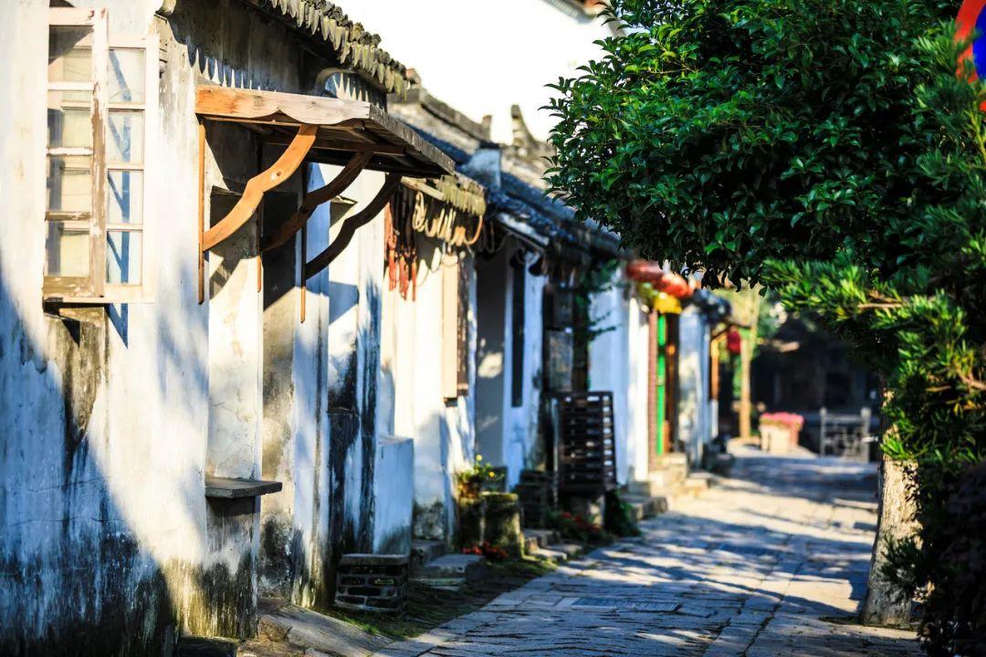 丹参，维生素E，谷维素能不能和降压药一起吃游戏画面