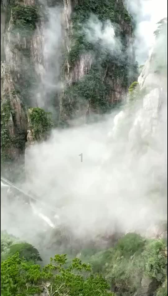 动物拼一拼